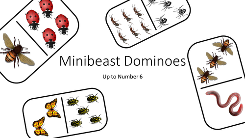 Minibeasts Numeracy | Teaching Resources