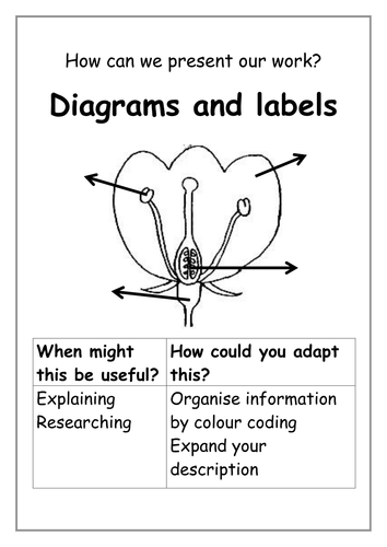 docx, 39.3 KB