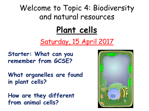 Plant Structure Resources Edexcel Snab 2015 Teaching Resources