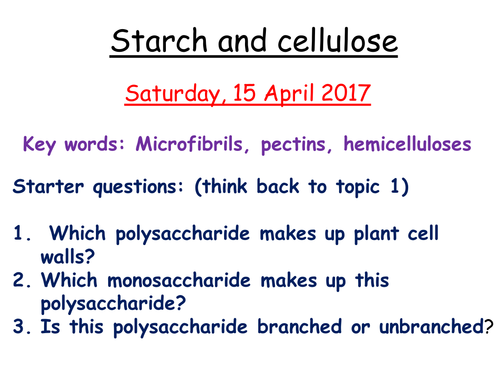 Plant Structure Resources Edexcel Snab 2015 Teaching Resources