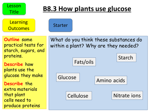 AQA GCSE B8.3 How plants use glucose | Teaching Resources