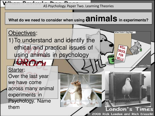 Animal research. Ethical and practical issues. Psychology. Edexcel |  Teaching Resources