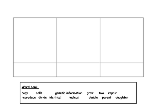 Cell Division Comic Strip (differentiated) | Teaching Resources