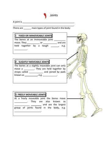 docx, 941.86 KB