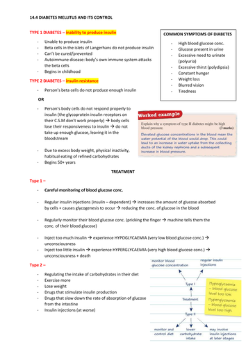 docx, 224.24 KB