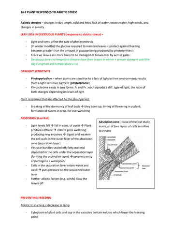 docx, 256.93 KB