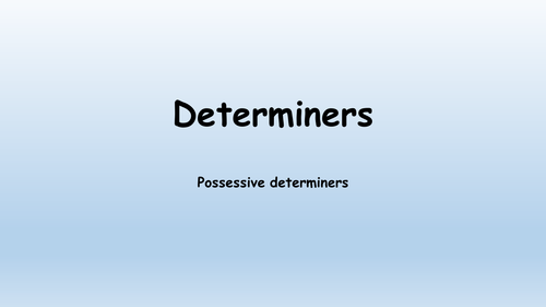 Determiners - Possessive