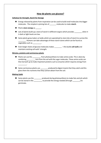 How Plants Use Glucose Starter | Teaching Resources