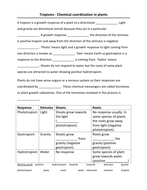 Chemical coordination in plants - 3 worksheets + starter - Tropisms
