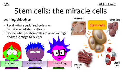KS3 Stem Cells Lesson OUTSTANDING | Teaching Resources