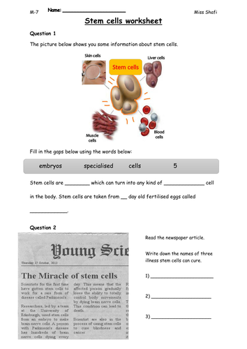 KS3 Stem Cells Lesson OUTSTANDING | Teaching Resources