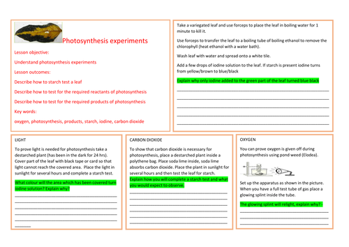 Photosynthesis experiments learning mat