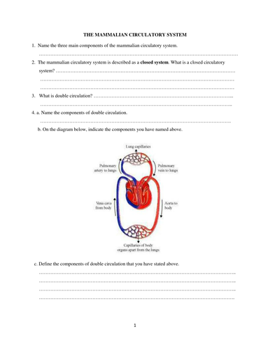 the-mammalian-circulatory-system-teaching-resources