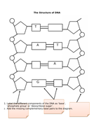 DNA - complete lesson (GCSE 1-9) | Teaching Resources