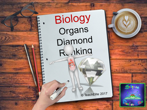 Human Organs Diamond Ranking Activity