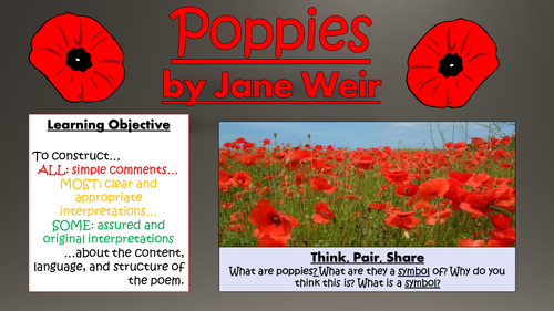 Poppies - Jane Weir