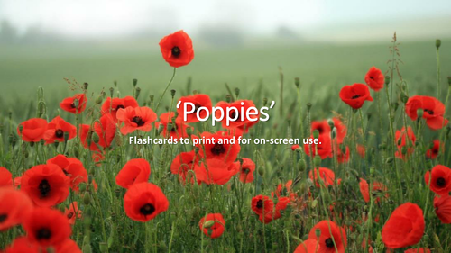Poppies Quote flashcards: For Print and Onscreen use with Instructions