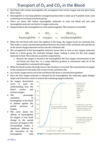pdf, 699.52 KB