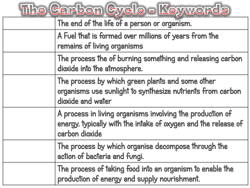 The Carbon Cycle