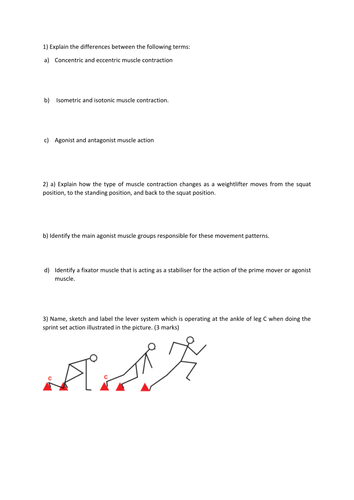 AS PE Edexcel NEW SPEC - Lever Systems and Newtons Laws | Teaching ...