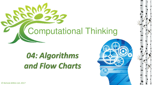 Flow Charts Computational Thinking Lesson | Teaching Resources