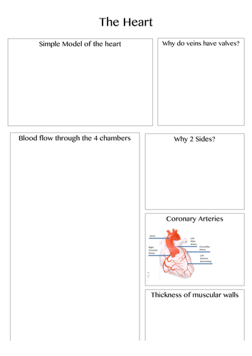 Biology Edexcel Alevel (SNAB), Topic 1 - Lifestyle, Health and Risk ...