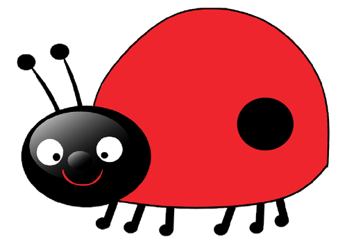 LADYBIRDS LIFE CYCLE TEACHING RESOURCES SCIENCE INSECTS MINIBEASTS ...