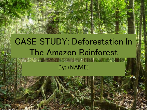 which case study shows deforestation why do you think so