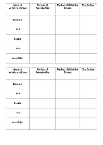 year 7 classification assignment