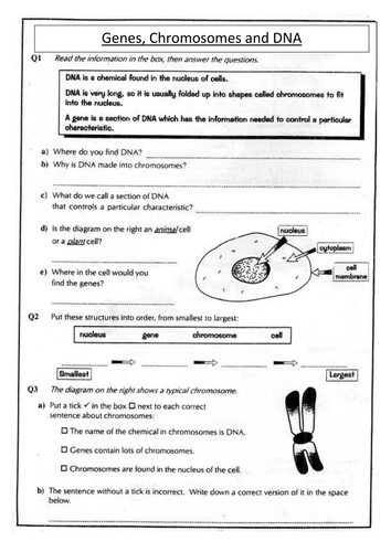 Year 9 Inheritance and Variation | Teaching Resources