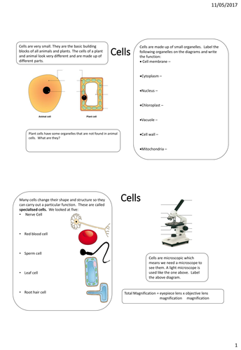 ks3 year 7 revision worksheets activate course