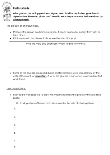 New AQA Biology Photosynthesis revision | Teaching Resources