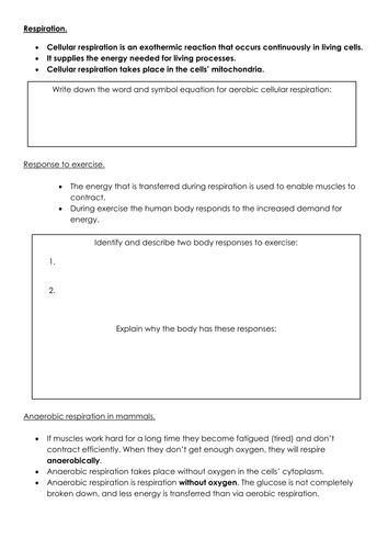 New AQA Biology SOW Respiration revision | Teaching Resources