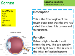 B10.5 The eye AQA GCSE 9-1 | Teaching Resources