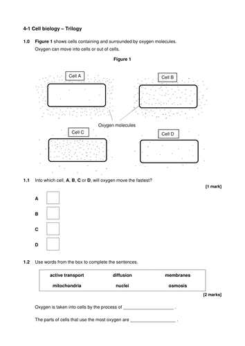 AQA Biology end of unit test cell biology | Teaching Resources