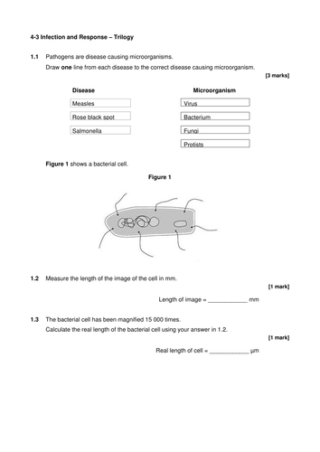 AQA biology Trilogy infection and response end of unit test