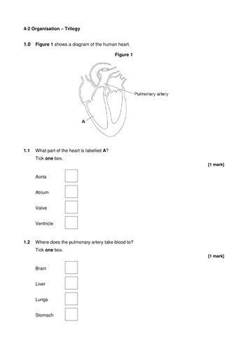 AQA Biology - Trilogy - Organisation, end of unit test