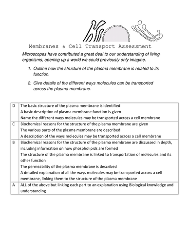 Membranes & Transport Assessment