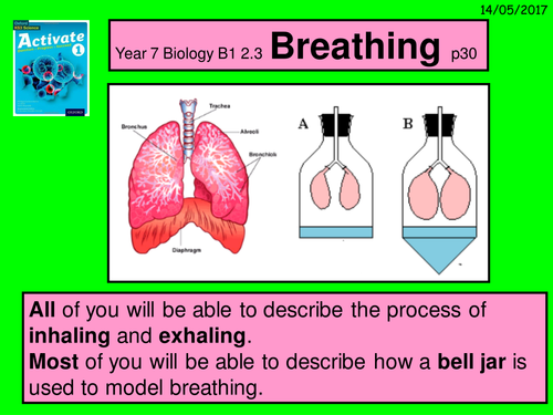 A Year 8 multimedia version of the  B2 2.3 "Breathing" lesson.