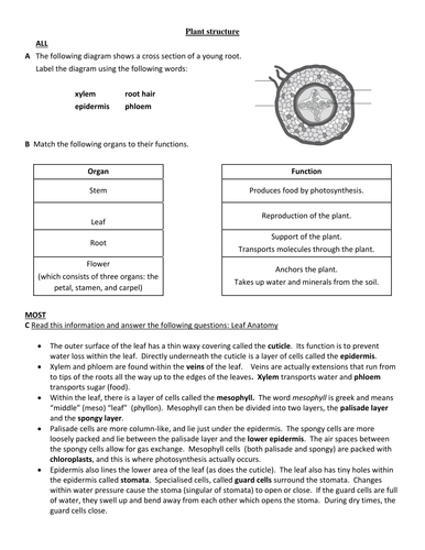 AQA Combined Science Trilogy: 4.2.3 Plant Tissues, Organs and Systems ...