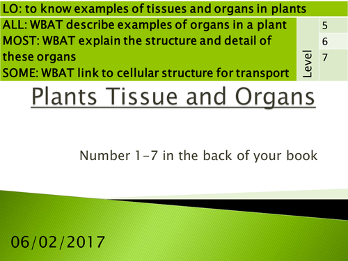 AQA Combined Science Trilogy: 4.2.3 Plant Tissues, Organs and Systems ...