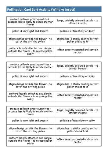 KS3 Plants - Lesson 3 - Pollination | Teaching Resources