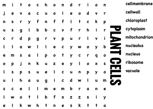 Science Wordsearch. Plant cells