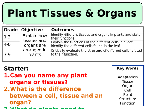 NEW AQA Trilogy (2016) Biology - Plant tissues & organs