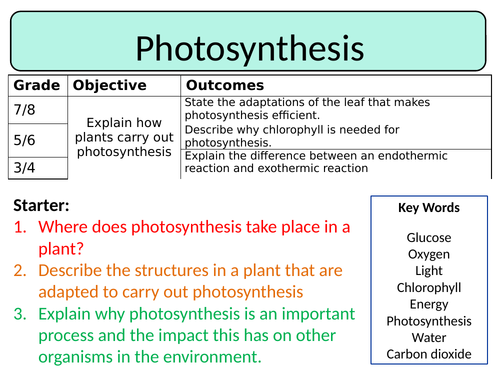 NEW AQA Trilogy GCSE (2016) Biology - Photosynthesis