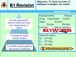 Complete B1 revision PPT | Teaching Resources