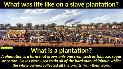 The African Slave Trade: Life on the Plantations