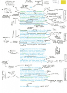 Feminine Gospels, Duffy: Sub, poem analysis | Teaching Resources