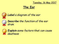 KS3 the ear | Teaching Resources