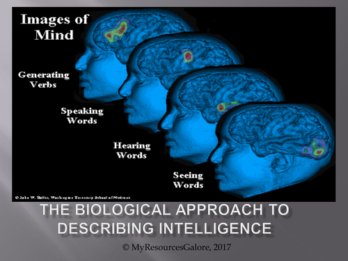The Biological Approach to Describing Intelligence